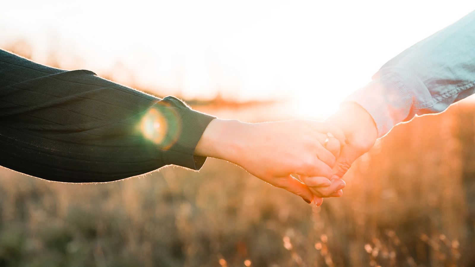 Dos personas tomadas de la mano en un campo al atardecer